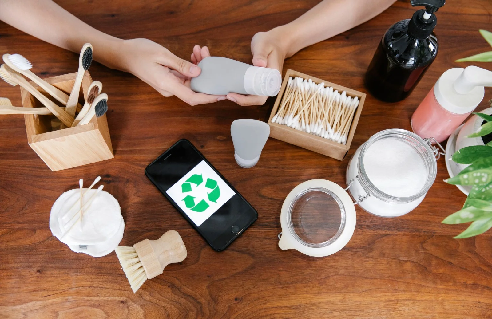 warp-proyecto-medioambiente